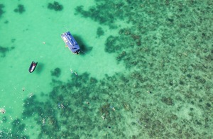 Shark Bay Wildlife Cruise